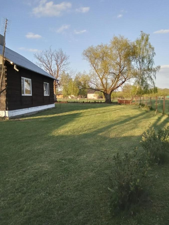 Domek U Kazi Sadowne Bagian luar foto